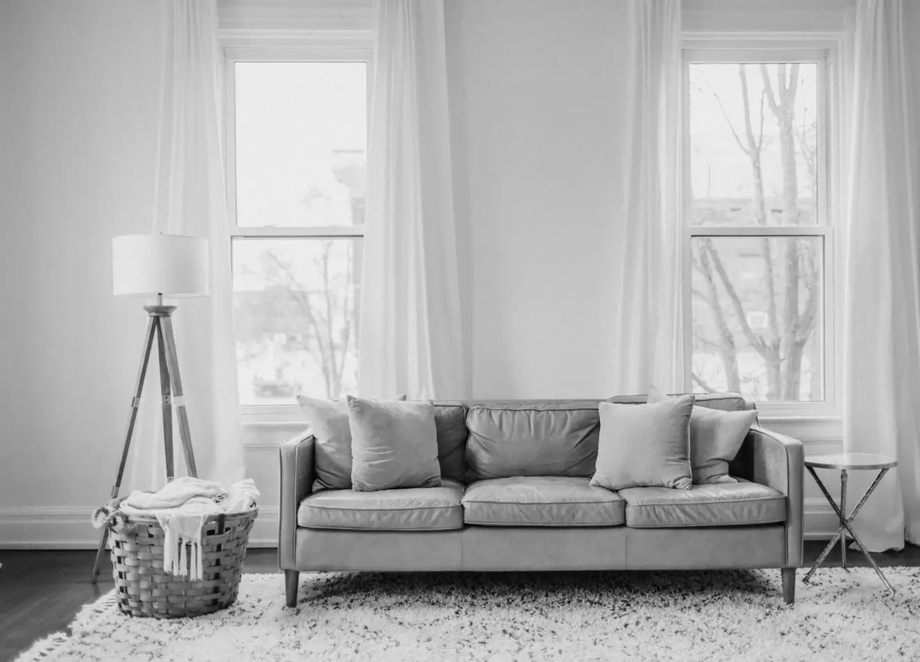 A rug under a sofa in a Brooklyn living room